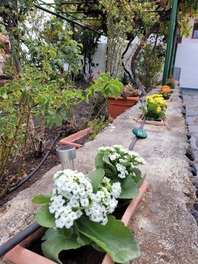 Casa Natalia. Apartment Taibique Екстериор снимка